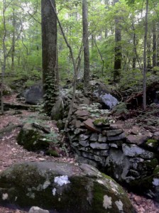 A remnant of the stone wall on Big Round Top behind which the 9th Massachusetts fought.