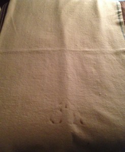 British soldier's blanket, 1776. "GR" and King's Arrow markings are still faintly visible at lower center.