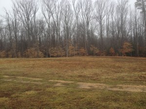 The woods in which the 22nd Massachusetts built their breastworks, prepared to meet the Confederates, and were badly overrun. My sense is that they were just on the edge of these woods with their backs towards the camera, so to speak, but they might have been further in.